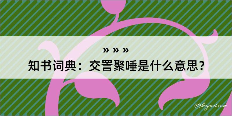 知书词典：交詈聚唾是什么意思？