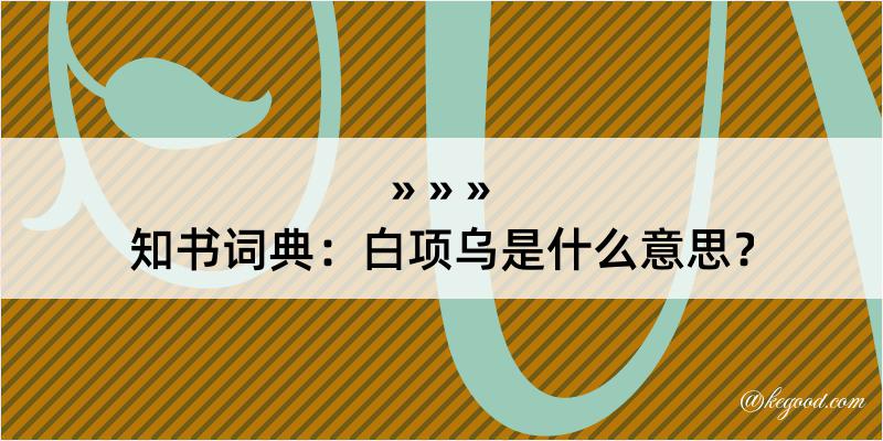 知书词典：白项乌是什么意思？