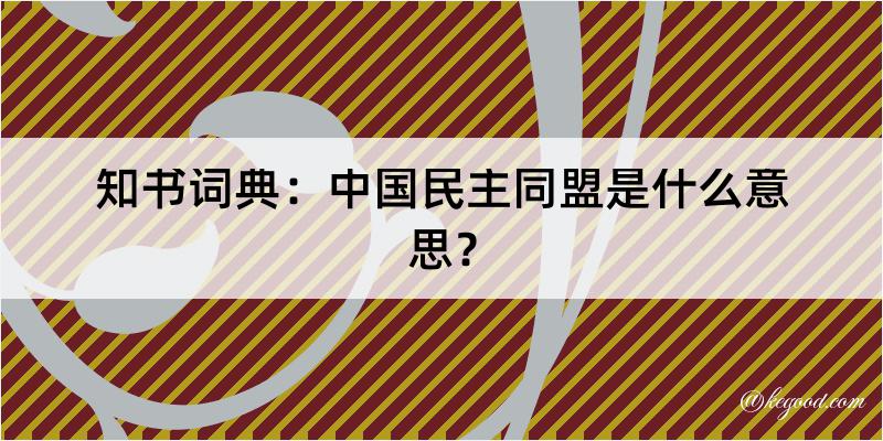 知书词典：中国民主同盟是什么意思？