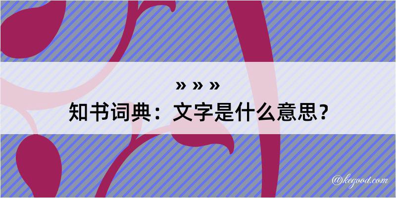 知书词典：文字是什么意思？