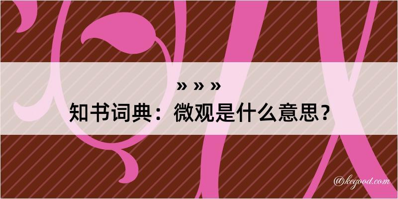 知书词典：微观是什么意思？