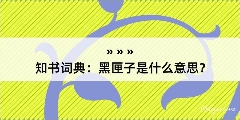 知书词典：黑匣子是什么意思？