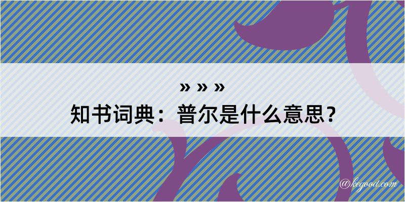 知书词典：普尔是什么意思？