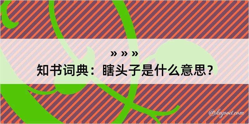 知书词典：瞎头子是什么意思？