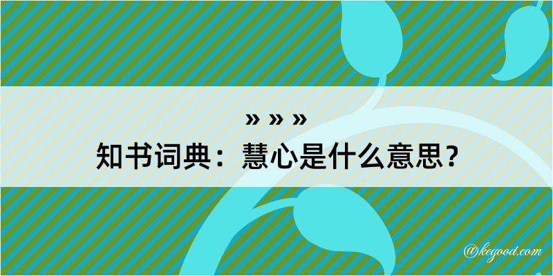 知书词典：慧心是什么意思？