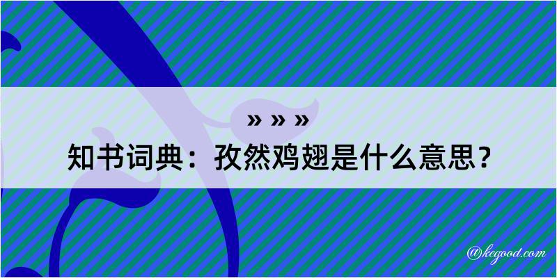 知书词典：孜然鸡翅是什么意思？