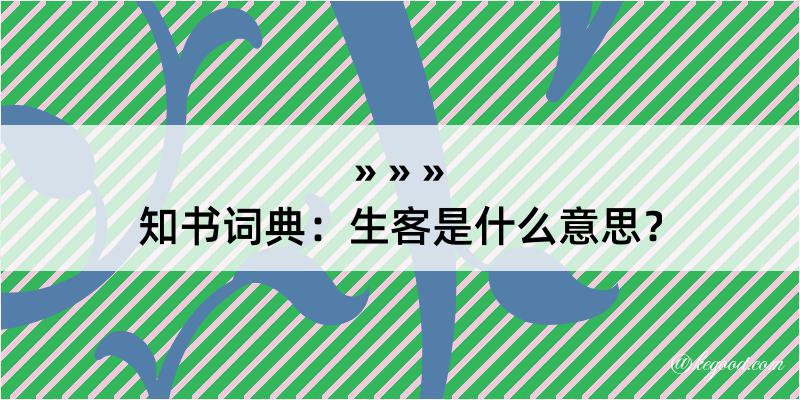 知书词典：生客是什么意思？