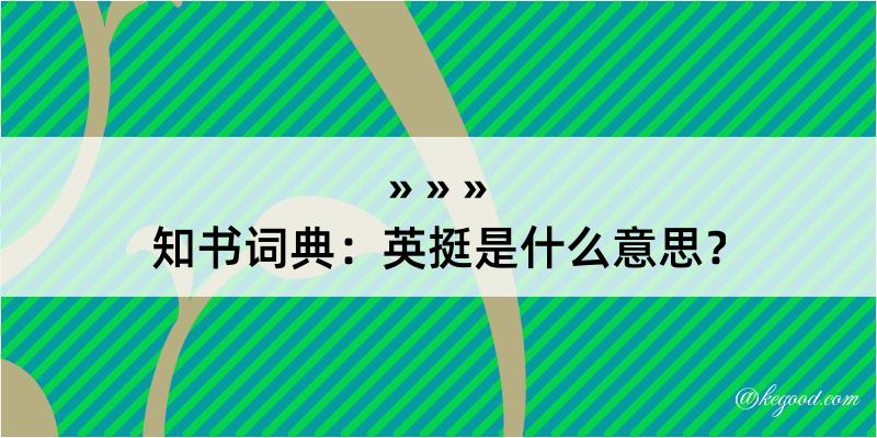 知书词典：英挺是什么意思？