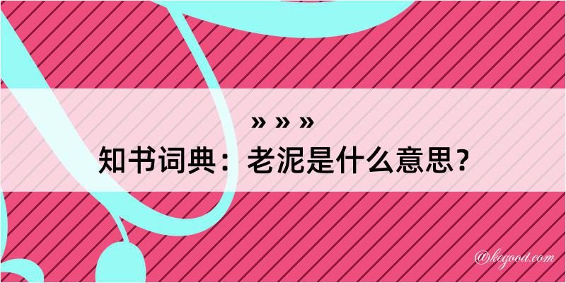 知书词典：老泥是什么意思？