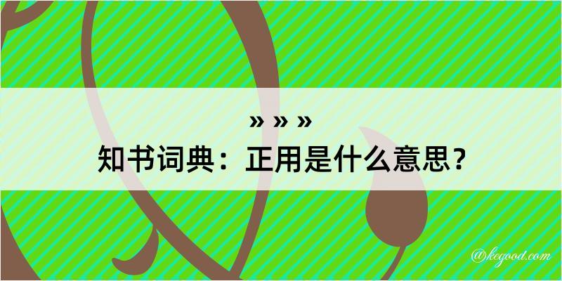 知书词典：正用是什么意思？