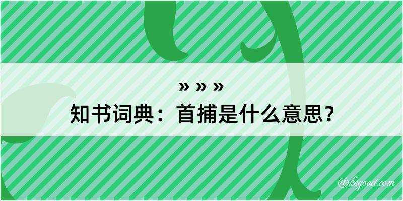 知书词典：首捕是什么意思？