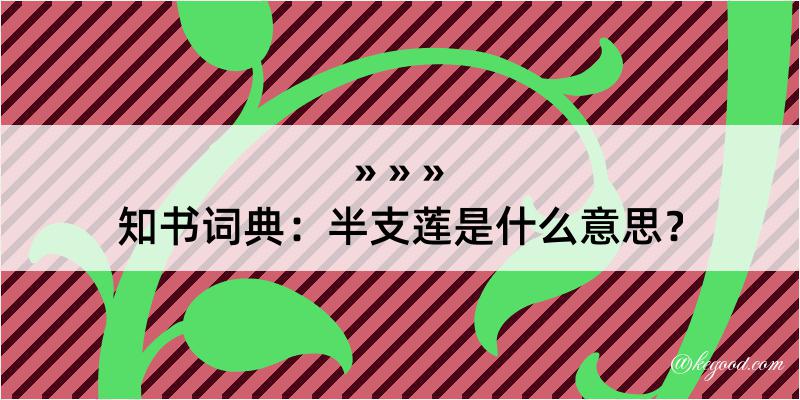 知书词典：半支莲是什么意思？