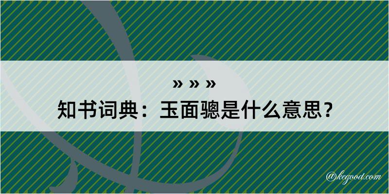 知书词典：玉面骢是什么意思？