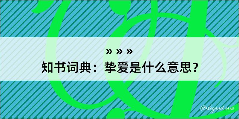 知书词典：挚爱是什么意思？