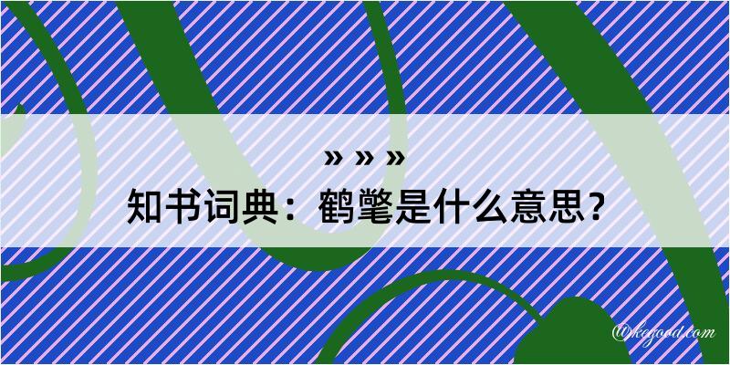 知书词典：鹤氅是什么意思？