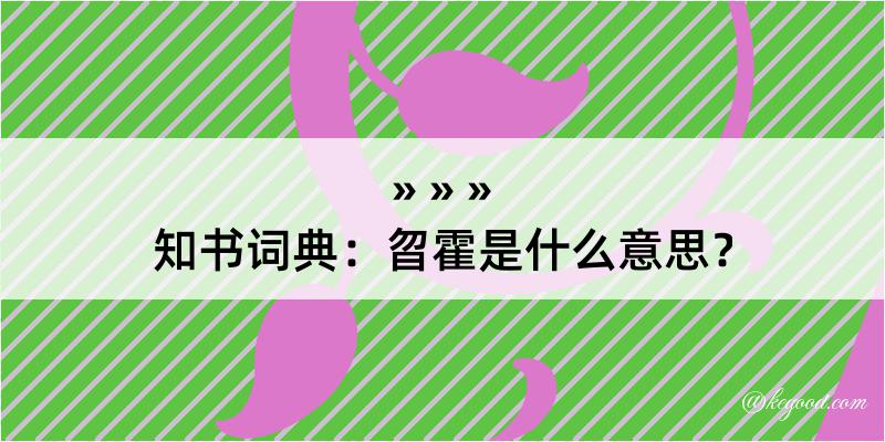 知书词典：曶霍是什么意思？