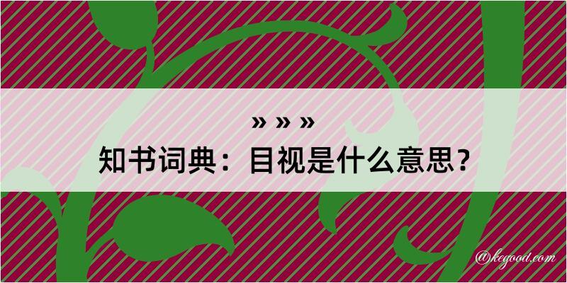 知书词典：目视是什么意思？