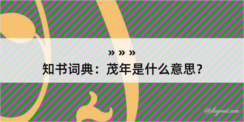 知书词典：茂年是什么意思？