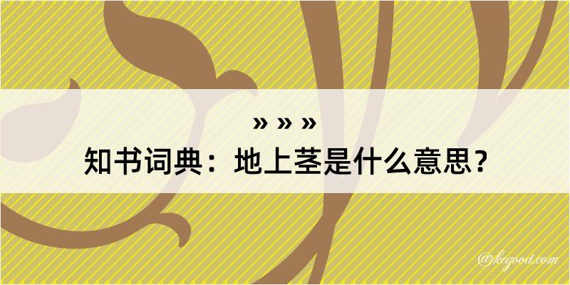 知书词典：地上茎是什么意思？