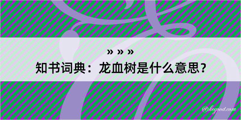 知书词典：龙血树是什么意思？