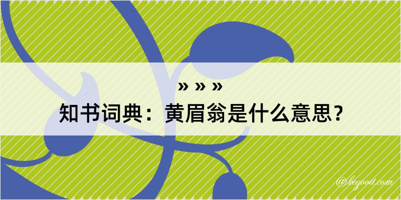 知书词典：黄眉翁是什么意思？