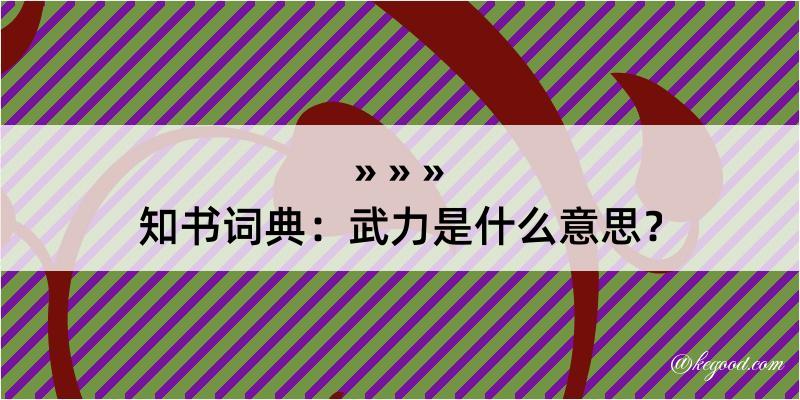 知书词典：武力是什么意思？