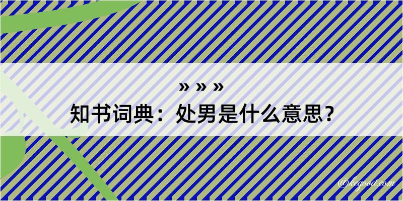 知书词典：处男是什么意思？