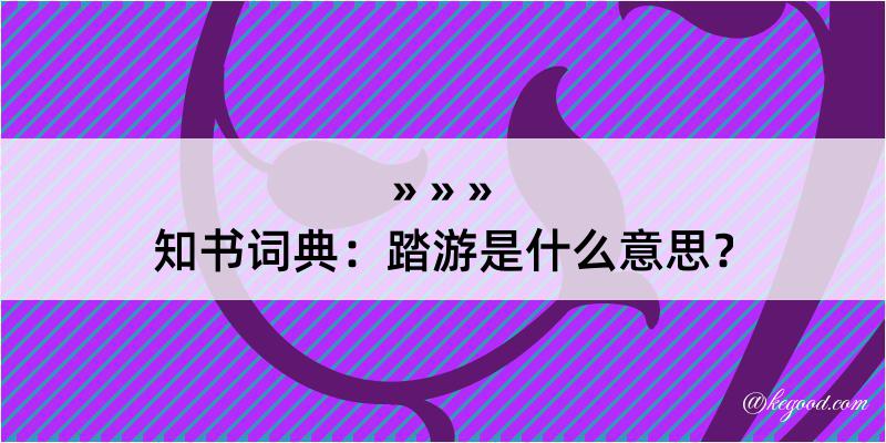 知书词典：踏游是什么意思？