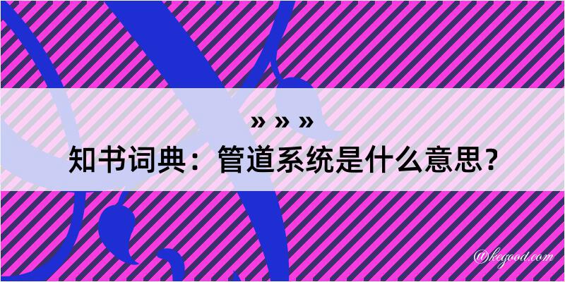 知书词典：管道系统是什么意思？