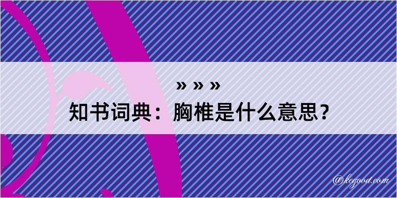 知书词典：胸椎是什么意思？