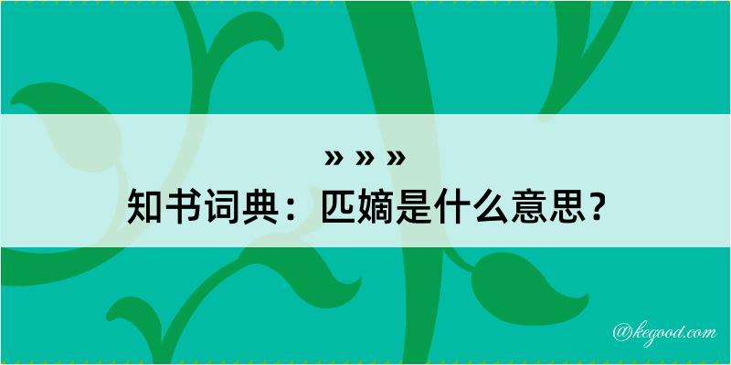 知书词典：匹嫡是什么意思？