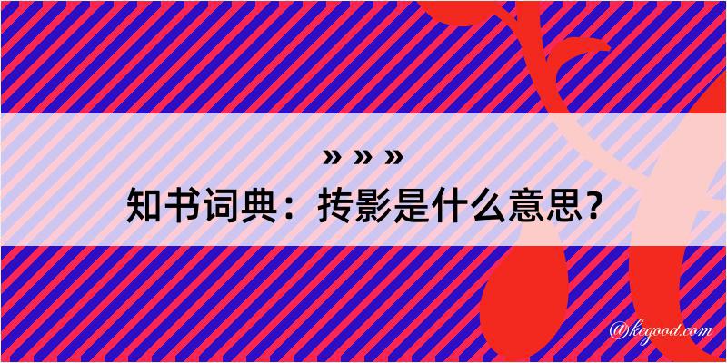 知书词典：抟影是什么意思？