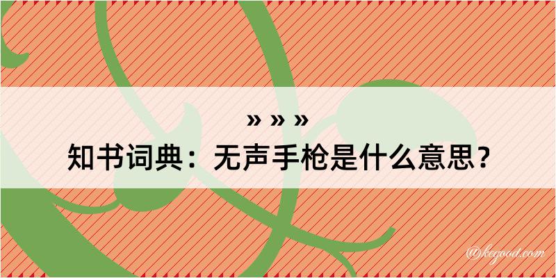 知书词典：无声手枪是什么意思？