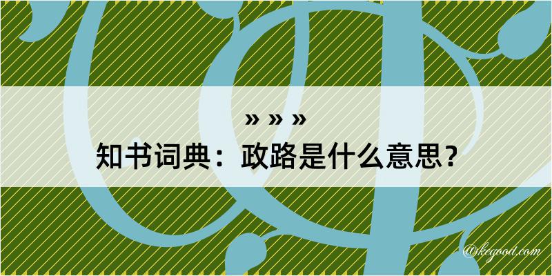 知书词典：政路是什么意思？