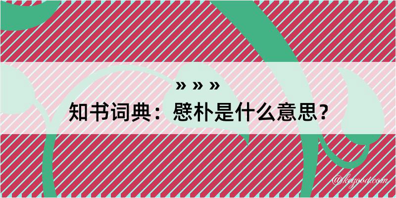 知书词典：憵朴是什么意思？