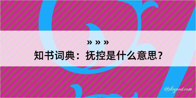 知书词典：抚控是什么意思？