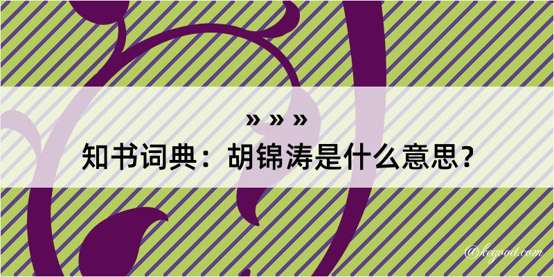 知书词典：胡锦涛是什么意思？