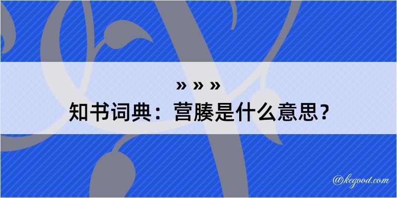 知书词典：营腠是什么意思？