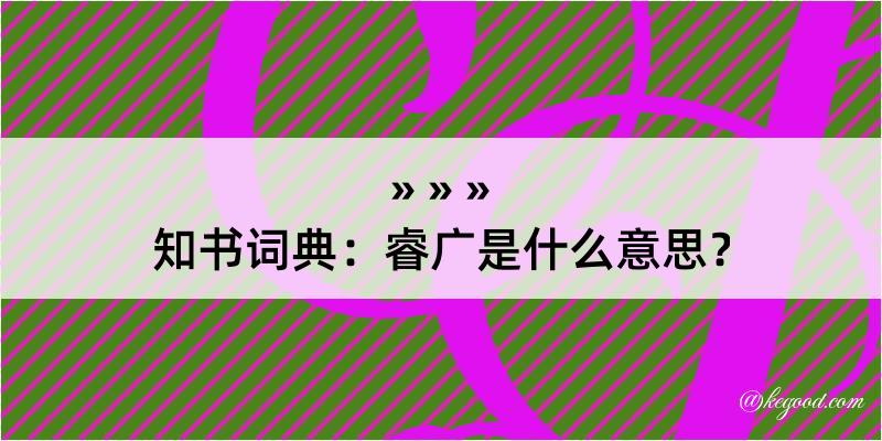 知书词典：睿广是什么意思？