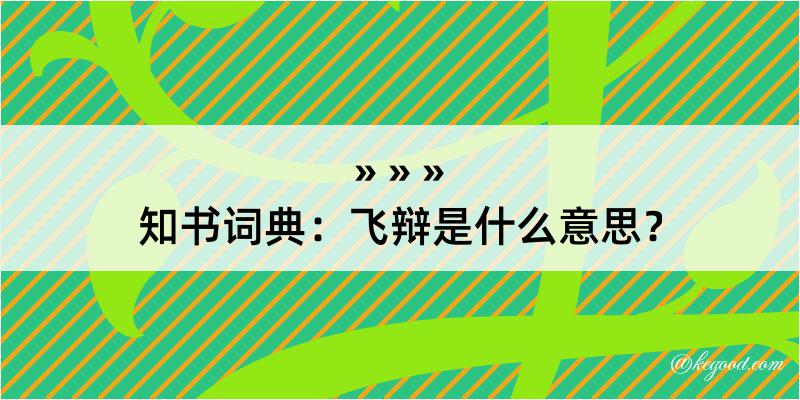 知书词典：飞辩是什么意思？