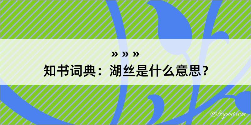 知书词典：湖丝是什么意思？