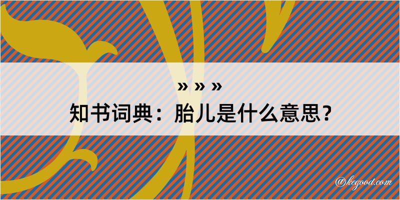 知书词典：胎儿是什么意思？