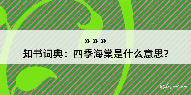 知书词典：四季海棠是什么意思？