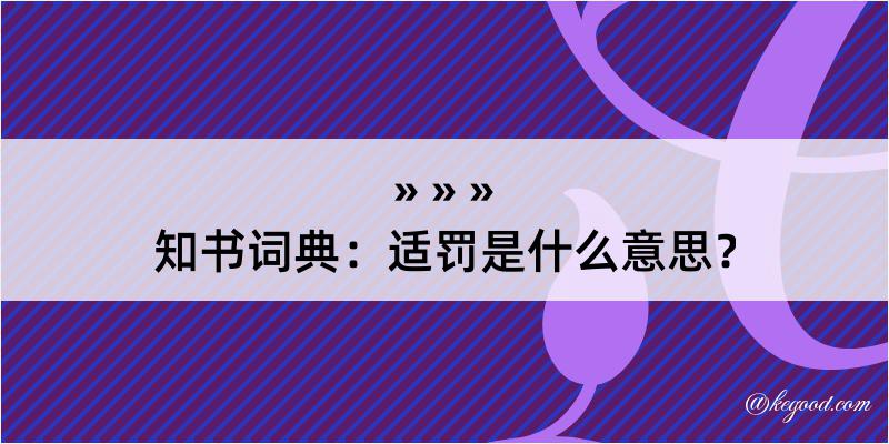 知书词典：适罚是什么意思？