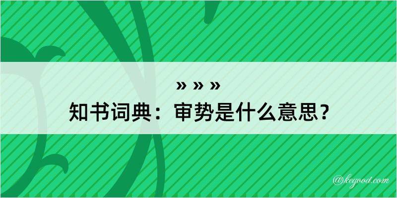 知书词典：审势是什么意思？