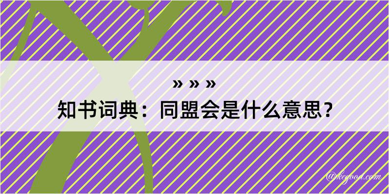 知书词典：同盟会是什么意思？