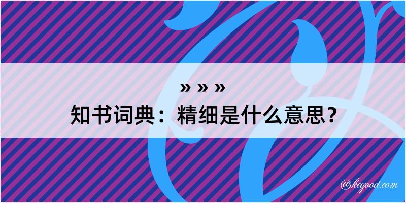 知书词典：精细是什么意思？