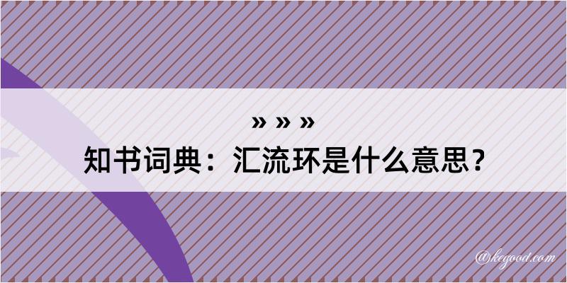 知书词典：汇流环是什么意思？