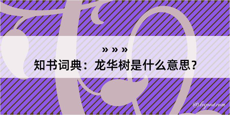 知书词典：龙华树是什么意思？