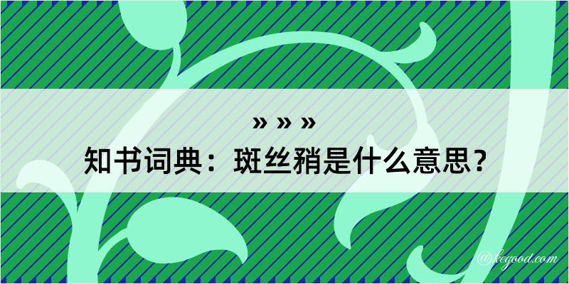 知书词典：斑丝矟是什么意思？